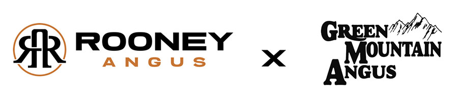 Rooney Angus x Green Mountain Angus